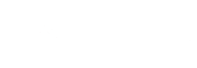 Project Services Group Logo