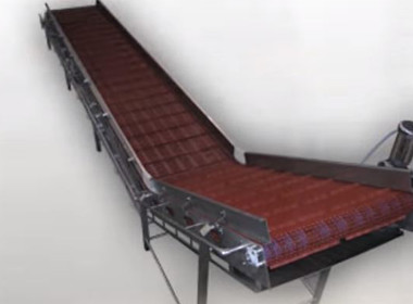 Food & Beverage conveyor