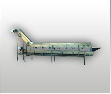 Vegetable Coring Conveyor