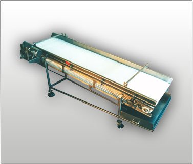 USDA / FDA Sanitary Design Conveyor