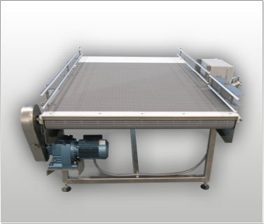 Accumulation & Surge Conveyor