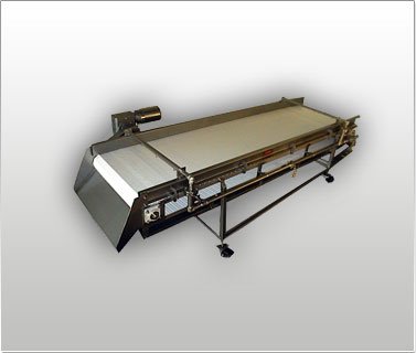 USDA / FDA Sanitary Design Conveyor 2