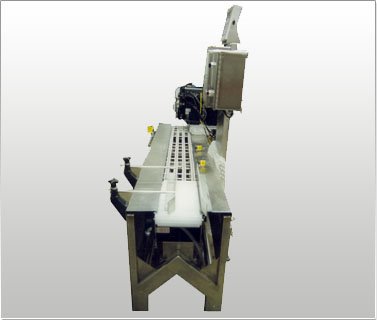 Weigh Scale Labeling Conveyor