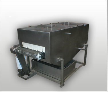 CIP Wash Conveyor System